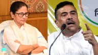 'Who Is Mamata Banerjee To Stop SIR?': BJP's Suvendu Adhikari India News