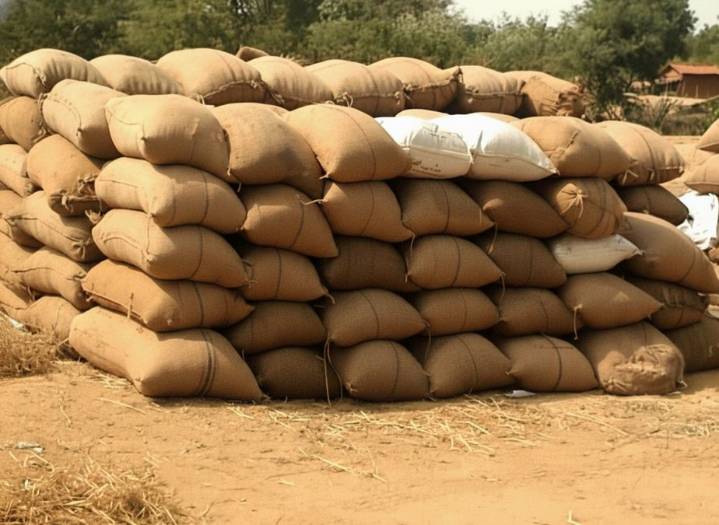 Paddy procurement in Odisha from Dec 25; govt targets 100 model mandis in 2 years