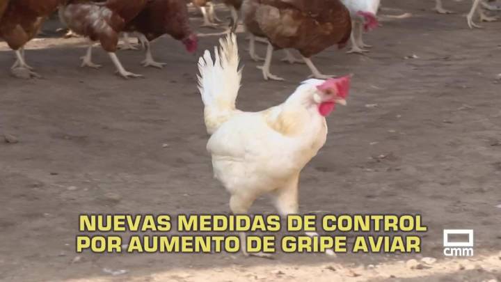 Castilla-La Mancha a las 2