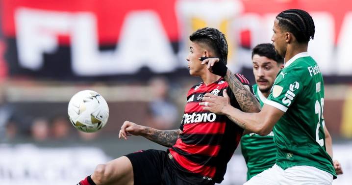 Tras ganar la Libertadores y en medio de la guerra institucional: la burla de Flamengo hacia la presidenta del Palmeiras