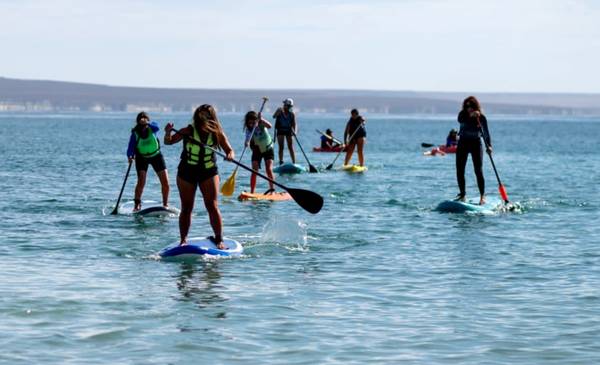 Puerto Madryn vivirá una nueva experiencia SUP