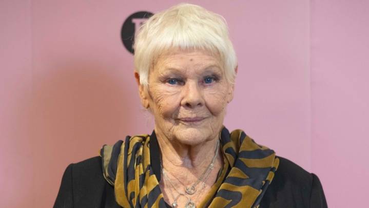Judi Dench Says She 'Can't Recognize Anybody' Due to Eye Condition