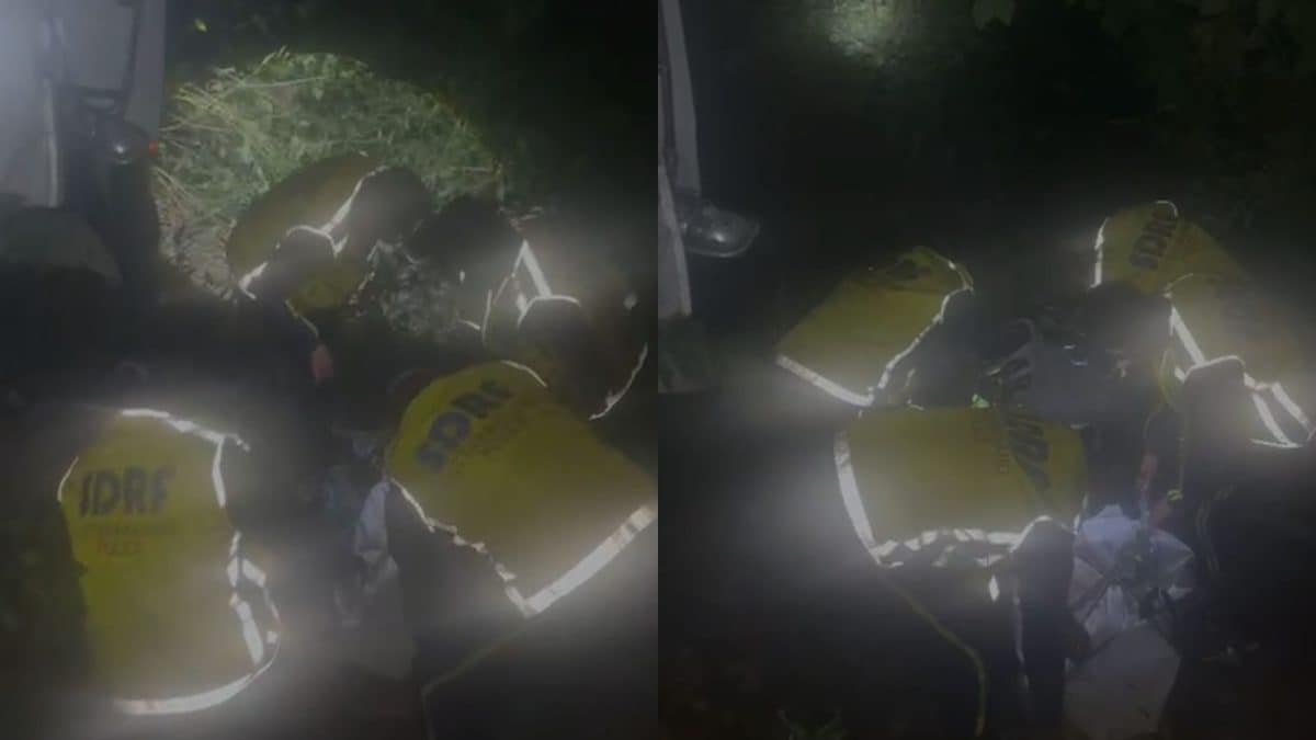 At Least 2 Dead, 16 Injured After Tempo Plunges Into Gorge Near Nainital