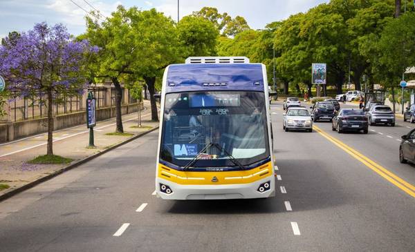 Trambus de la Ciudad: abren una convocatoria para que vecinos porteños prueben el servicio