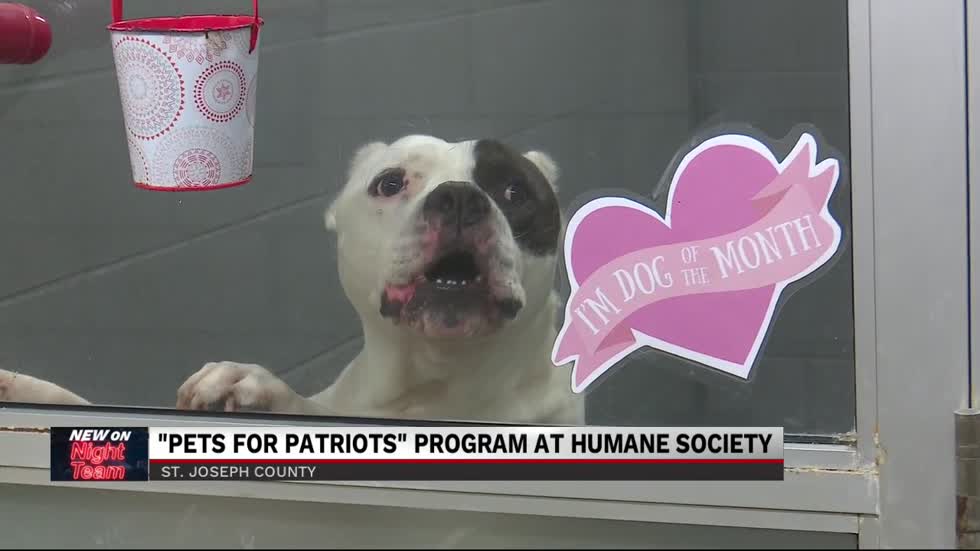 "Pets for Patriots" waives adoption fees for active duty & veteran military members