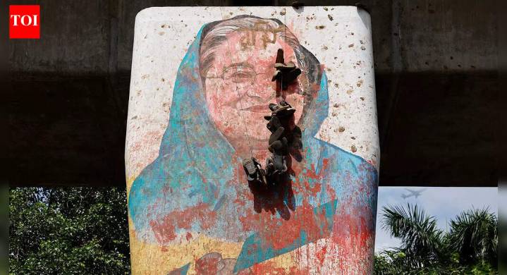 India is unlikely to extradite Hasina. What 2013 treaty says