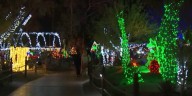 Ethel M Chocolates lights up holiday cactus garden