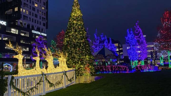 Coping with holiday season stress: Expert shares tips to navigate family dynamics