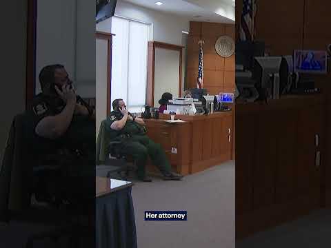 Sarasota Little League treasurer accused of stealing $200,000 in league funds