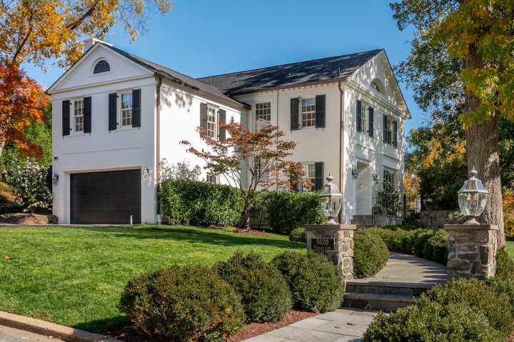 Trump-Epstein Statue Reappears Near Site of Sandwich Guy Incident, Federal Workers Will Get Paid Soon, and Rabid Fox Is Dead in Alexandria