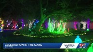 Celebration in the Oaks officially opens in City Park for 2025 holiday season