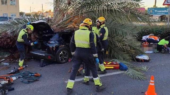 Muere un joven de 22 años al caer una palmera sobre su coche en una carretera