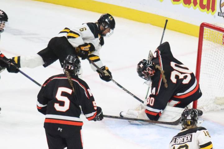 12 area girls hockey players to watch