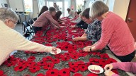 P.E.I. volunteers knit and crochet 14,000 poppies as 'work of love' for Remembrance Day