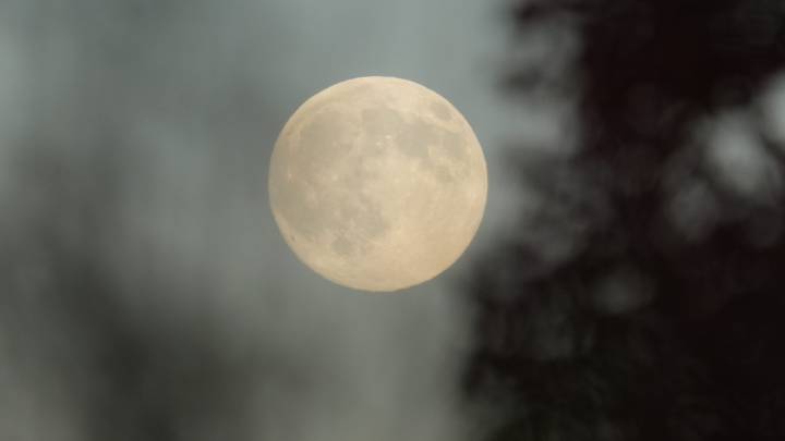 Brevard County Florida weather 5 day forecast Nov. 6, 2025