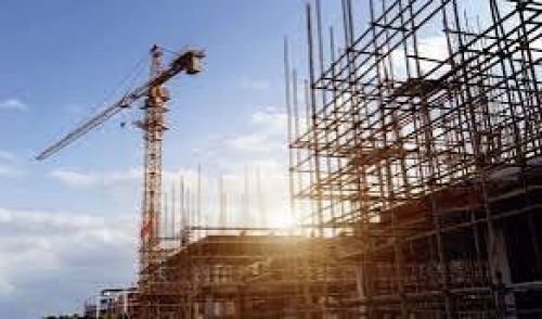 El NEA con tasas de hidatidosis por debajo del promedio nacional