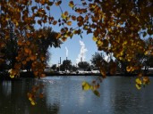 Colorado congressman seeks order to keep state's largest coal plant open