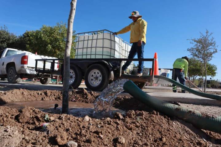 Atiende Saltillo con agua tratada áreas verdes de ‘Activa tu Parque’