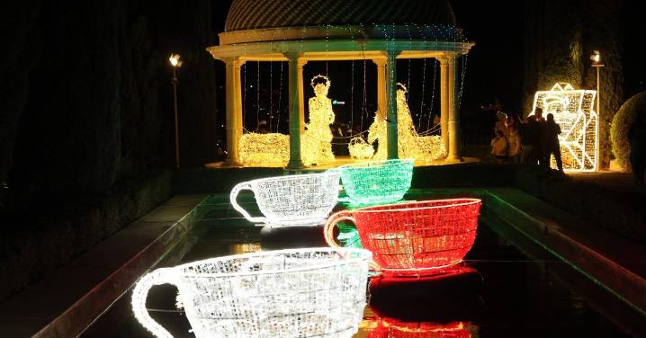 El Jardín Botánico de Málaga brilla con la luz del País de las Maravillas por Navidad