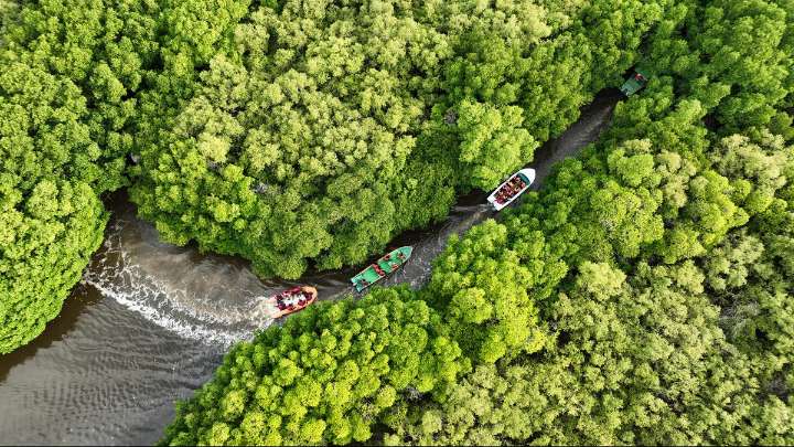 The Tamil Nadu model of sub-State climate action