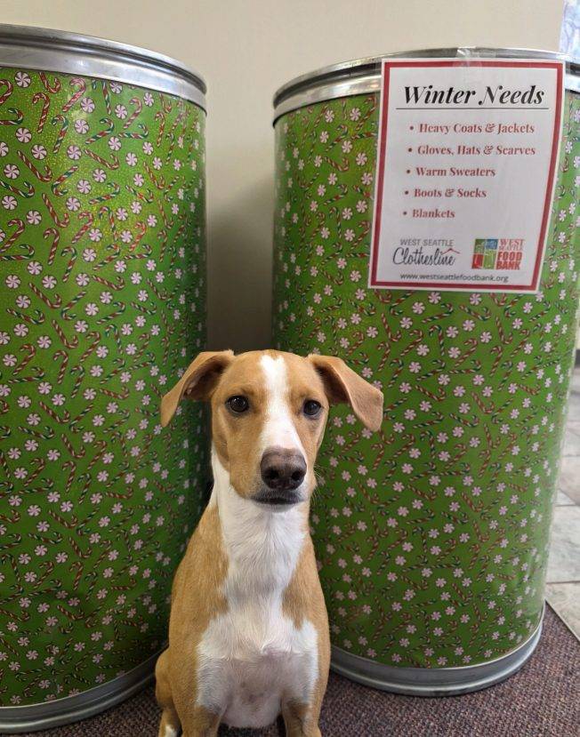 West Seattle Blog… | YOU CAN HELP: Annual warm-clothing drive begins at Dave Newman State Farm Insurance Agency