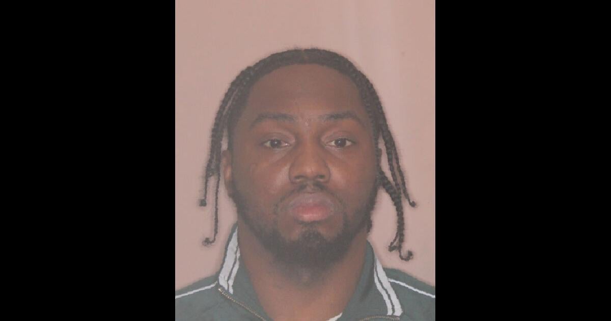 Albany man fled traffic stop with child in car, sheriff says