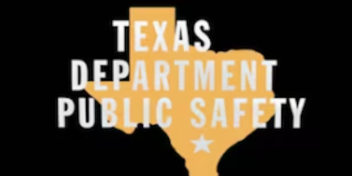 Texas DPS: 1 dead after being struck by semi near Vega