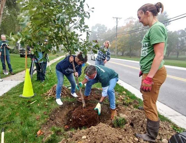 Macomb, Oakland, St. Clair county communities receive grants to boost tree canopies