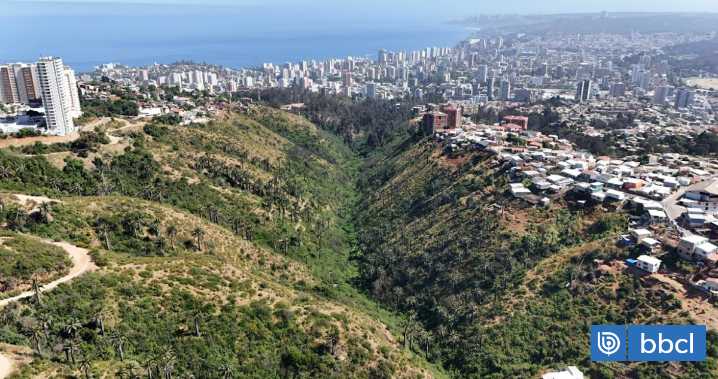 Declaran Humedal Kan Kan de Viña del Mar como ecosistema acuático urbano