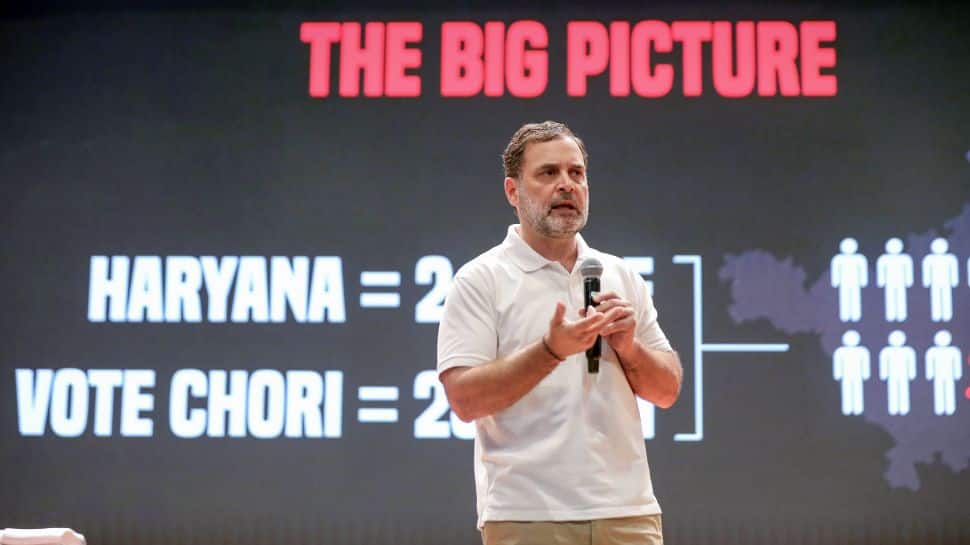 ‘Clueless And Desperate For Headlines’: BJP Hits Back At Rahul Gandhi's 'H Files' Presser