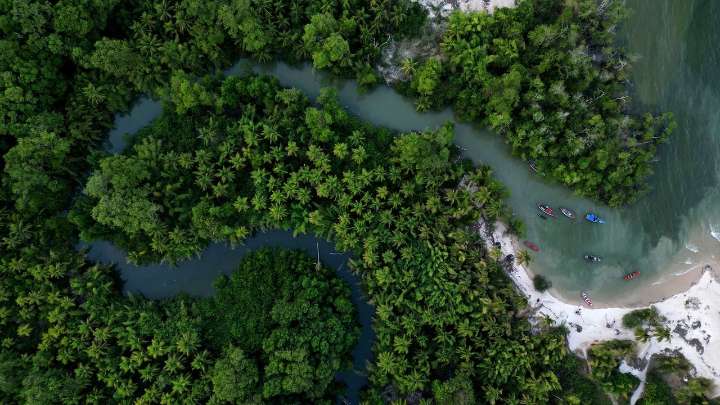Brazil stumps up billions of dollars for its ambitious rainforest fund at UN climate summit