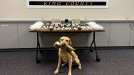 Drug bust seizes $1.6M of cartel's narcotics in King County