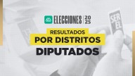 Resultados elección de diputados 2025 en el Distrito 10: Consulta quién gana