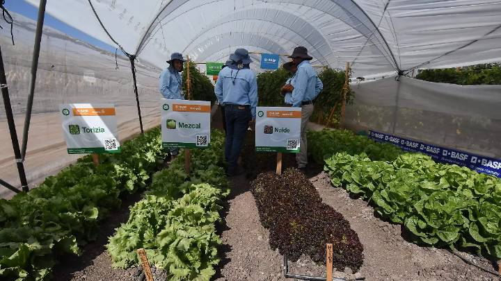 Expo AgroAlimentaria Guanajuato, 30 años de impulsar la transformación tecnológica y sostenible del campo mundial