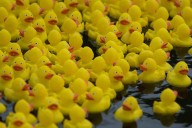 This chill rubber duck game is the perfect respite from Arc Raiders