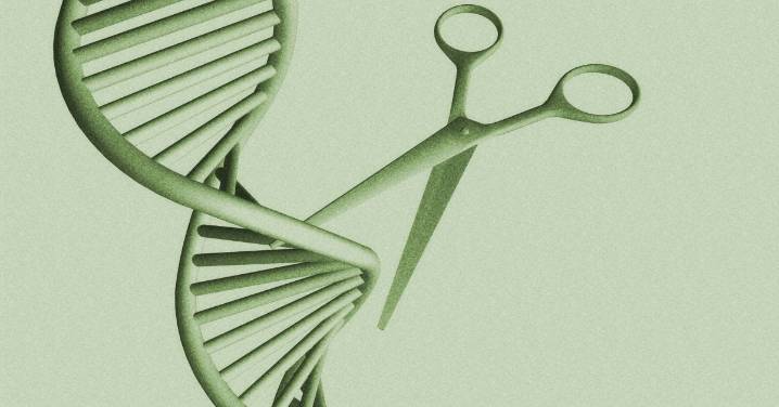 Can Gene Therapy Lower Cholesterol?