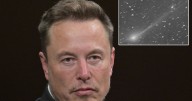 Elon Musk makes 3I/ATLAS 'alien' claim as viewers slam NASA over one 'terrible' problem