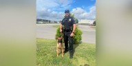 New police dog, handler graduate training and join Pelham Police Department K