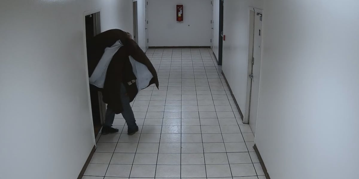 New evidence released after man pleads guilty to killing woman, 3