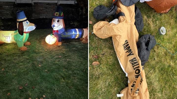 'The Case of the Deflated Dachshunds': What a petty crime says about accountability