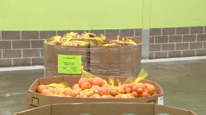 Houston Food Bank distributions for SNAP recipients, federal workers impacted by shutdown