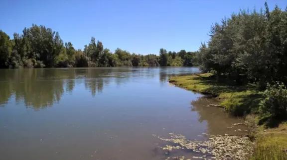 Hallaron el cuerpo de una de los tres personas desaparecidas en el río Negro