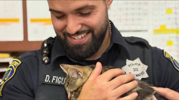 Officer rescues kitten from inside Tesla in San Mateo