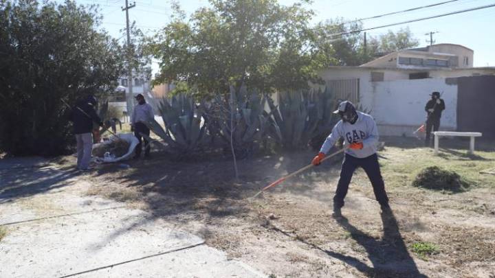 Realizaron jornada de limpieza en parque lineal en Satélite
