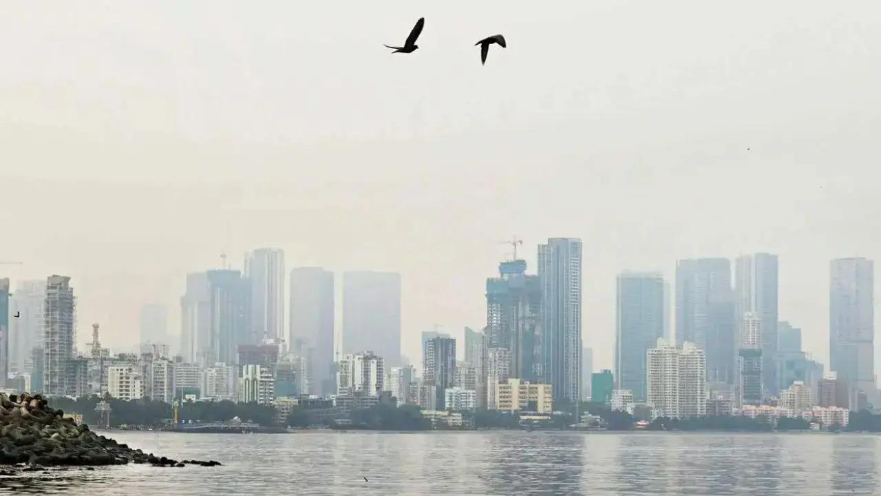Mumbai weather updates: City experiences cold weather; AQI continues to worsen