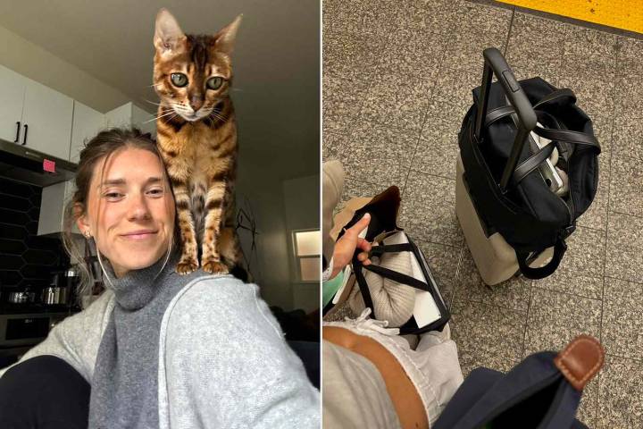 Full-Time House Sitter Explains How She ‘Lives for Free’ in N.Y.C. (Exclusive)