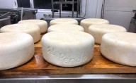 Este queso cántabro ha ganado oro en Suiza y el mundo entero quiere probarlo.