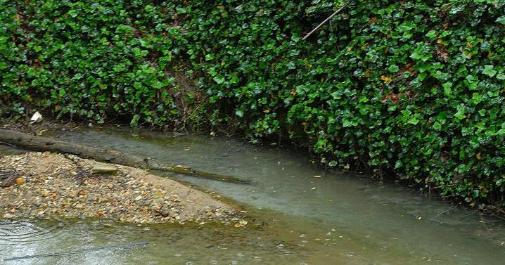 More than 1.6 million gallons of untreated wastewater spilled into Lyle Creek Thursday