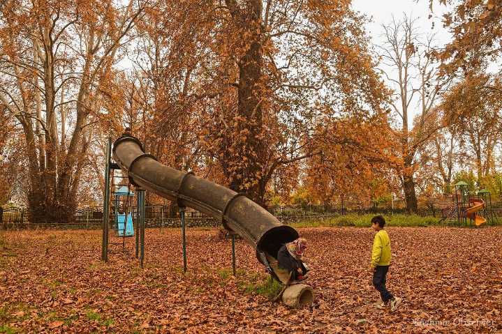 Letter to Editor: The Fading Melody of Kashmiri Autumn