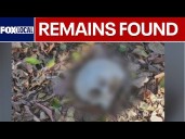 Human Skull found in Metro Detroit by surveying crew